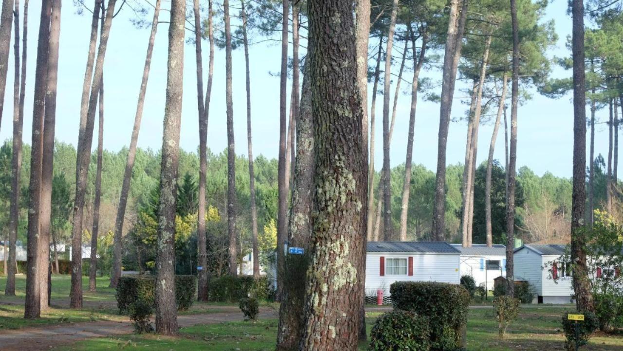 Mobil Home Rainbow, Camping Les Dunes De Contis Saint-Julien-en-Born Szoba fotó